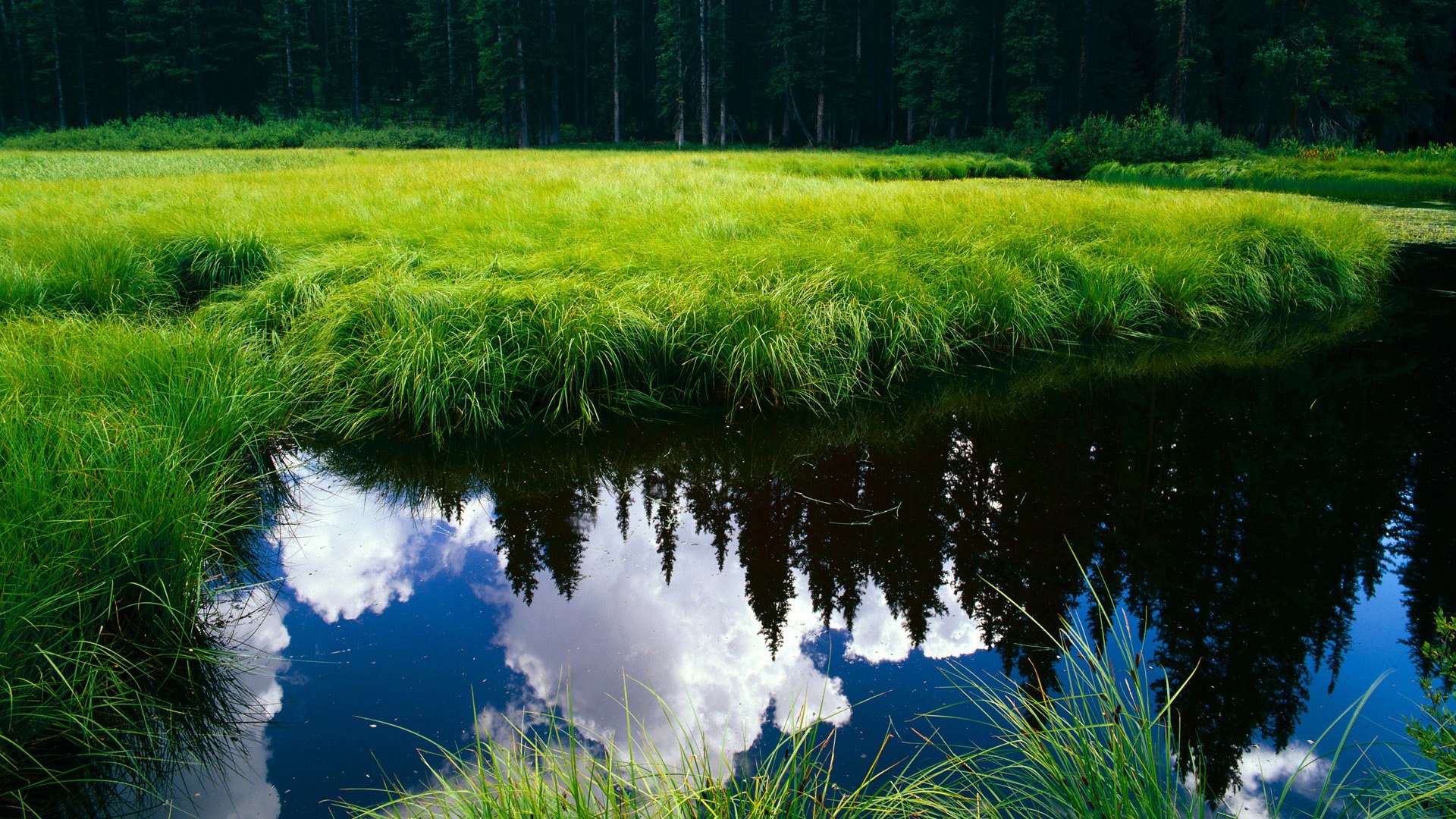 _湖人队迎来关键战役，全员拼搏争夺胜利_，湖人队2022