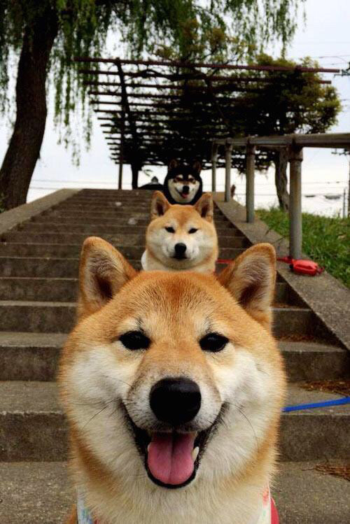 kaiyun.com-《王者荣耀亚洲线上总决赛，巅峰对决即将开启》，王者荣耀亚洲杯