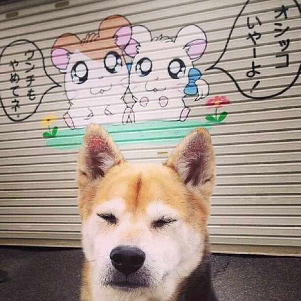 全国青少年“篮梦星空”公益放映会在广州精彩上演,传播正能量