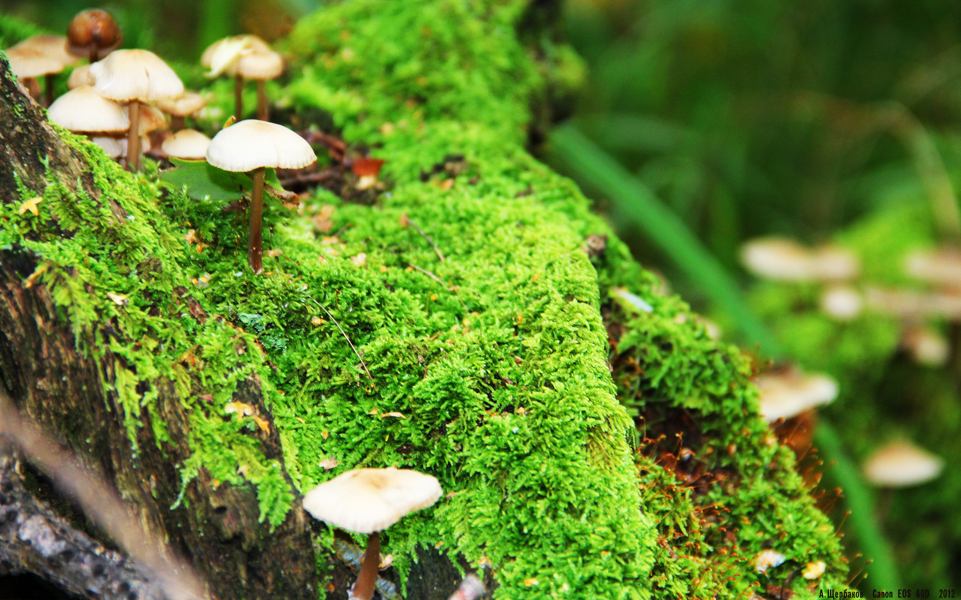 开云网页版登录入口-全国青少年“篮球+环保”主题公益赛在青海持续火热，激发环保意识