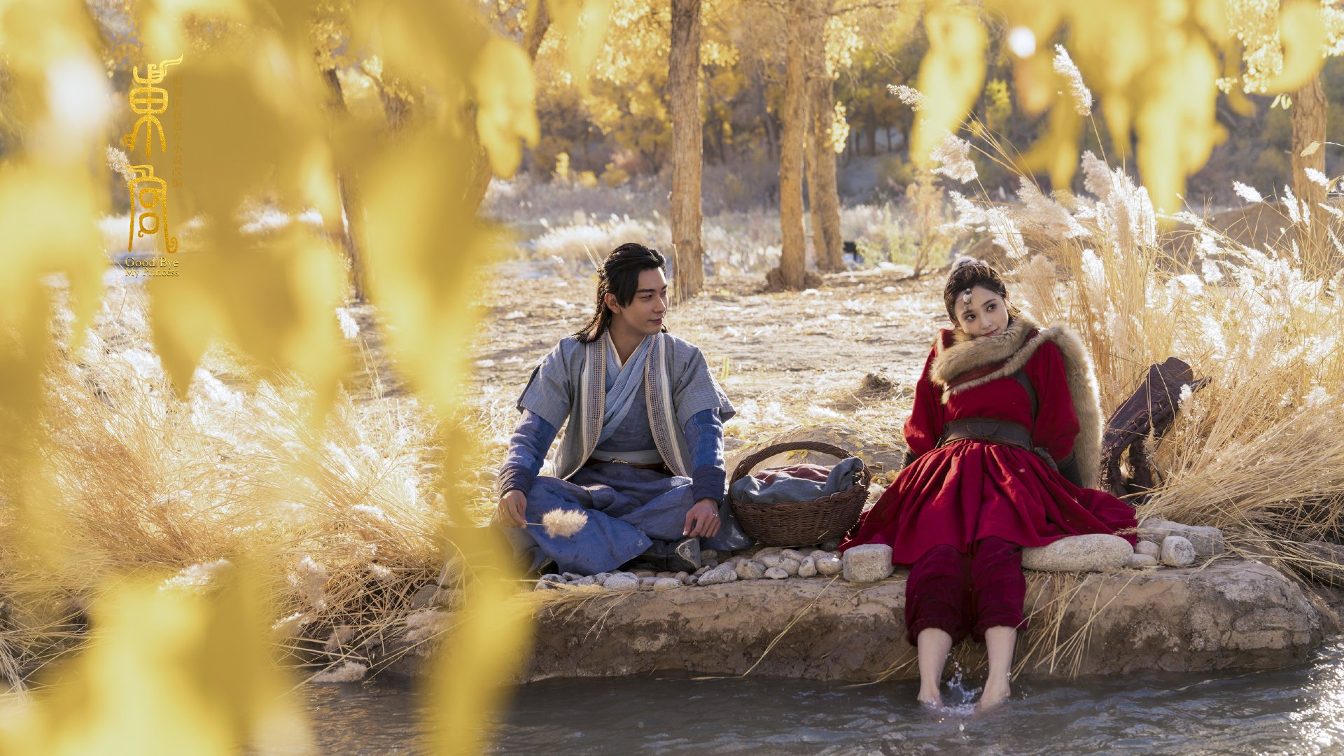 篮球赛事观众互动体验创新升级,篮球比赛观众席视角