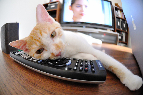 职业生涯新高度:明星球员的年度巅峰表现,职业球员巅峰年龄