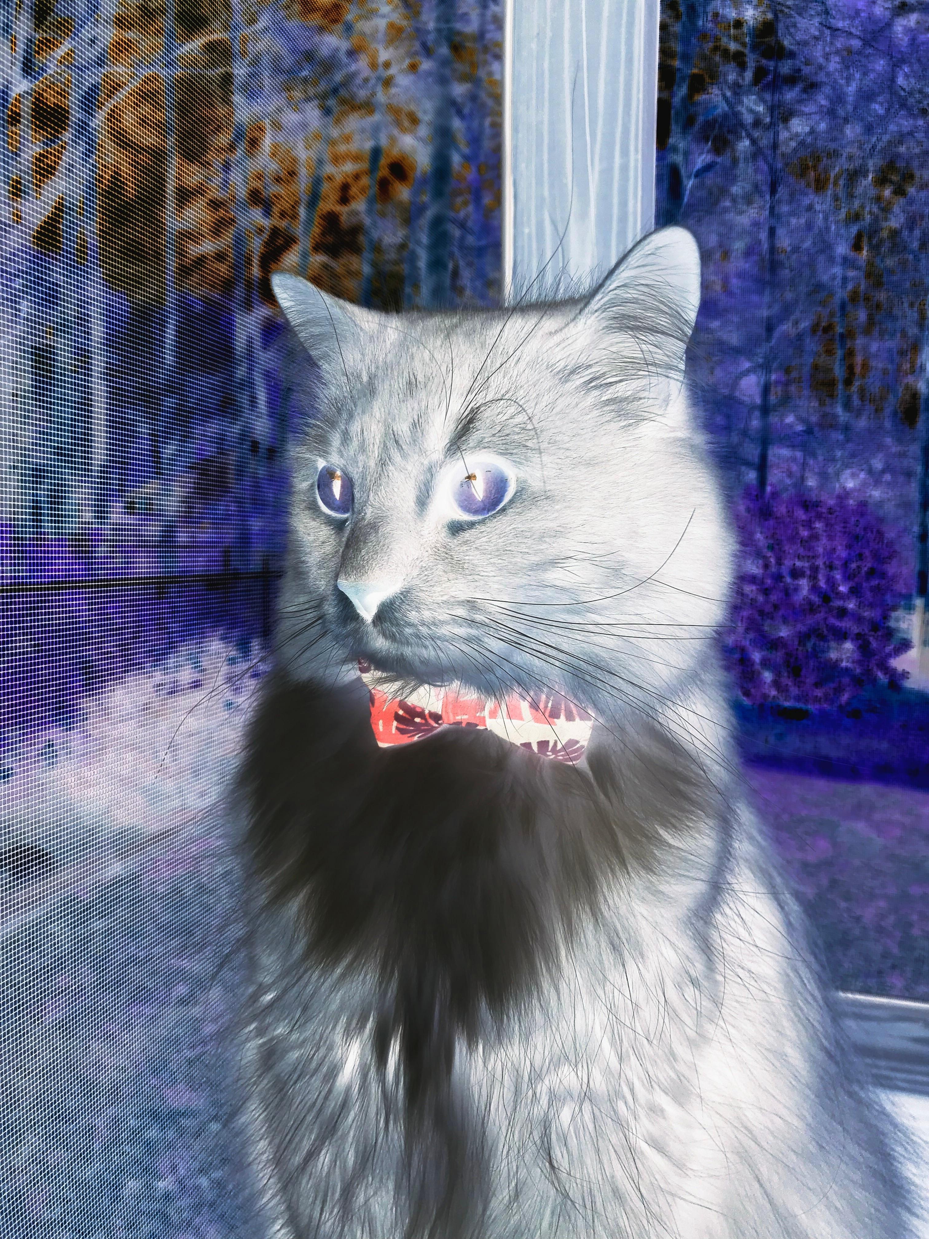 开云官方网页登录-足球赛事数字内容创新制作，吸引年轻一代粉丝，数字游戏_关于足球,你全弄错了吗