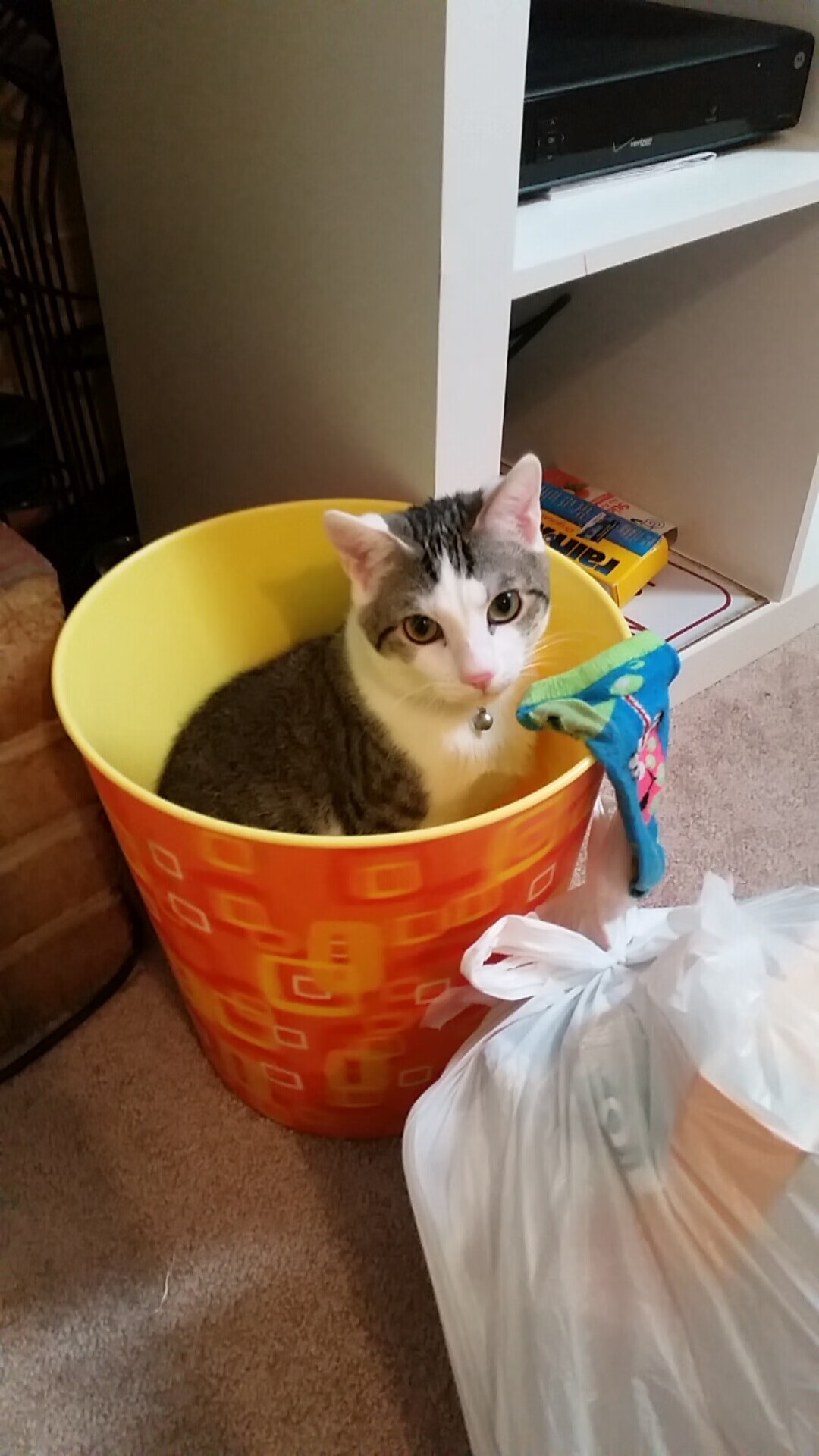 KAIYUNAPP-中国足球的青少年足球培训体系建设，青少年足球培训的意义