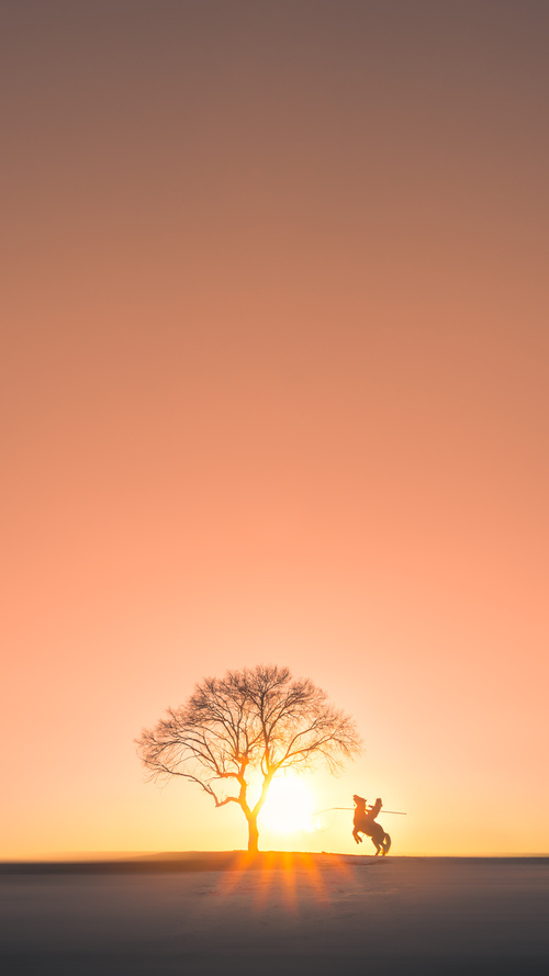 摩洛哥马术协会与亚洲马术协会建立合作关系,推动区域发展。,摩洛哥marjane