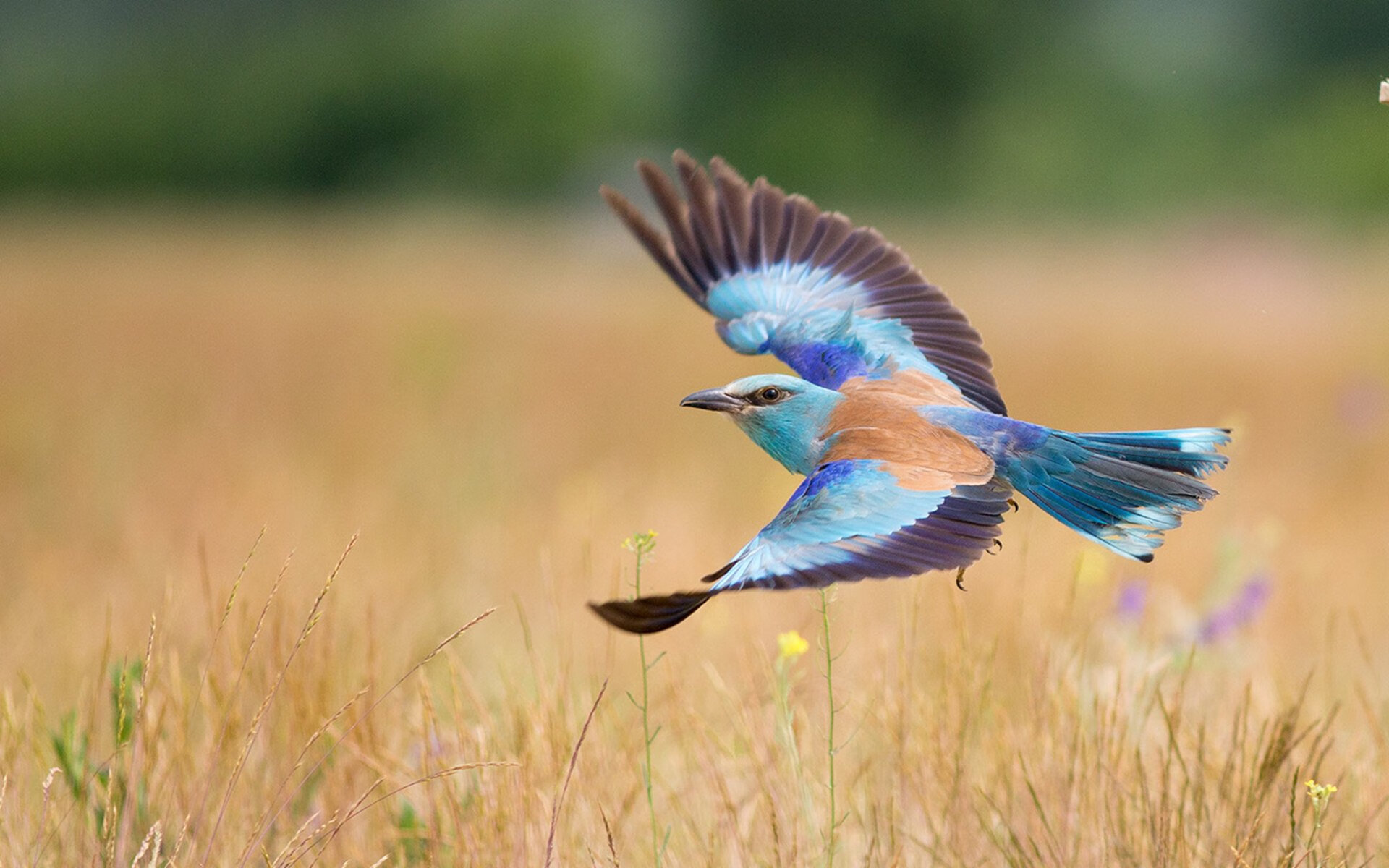 kaiyun.com-昆明滇足球队在客场比赛中取得突破性进展，昆明市足球比赛