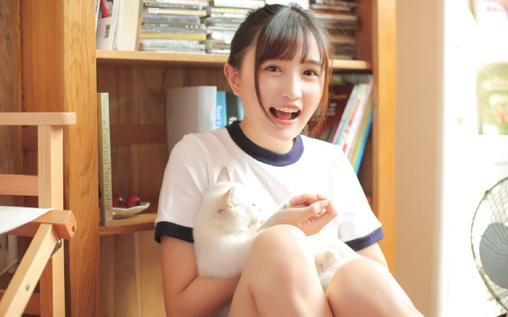 本菲卡球员伤病名单更新,本菲卡球员身价