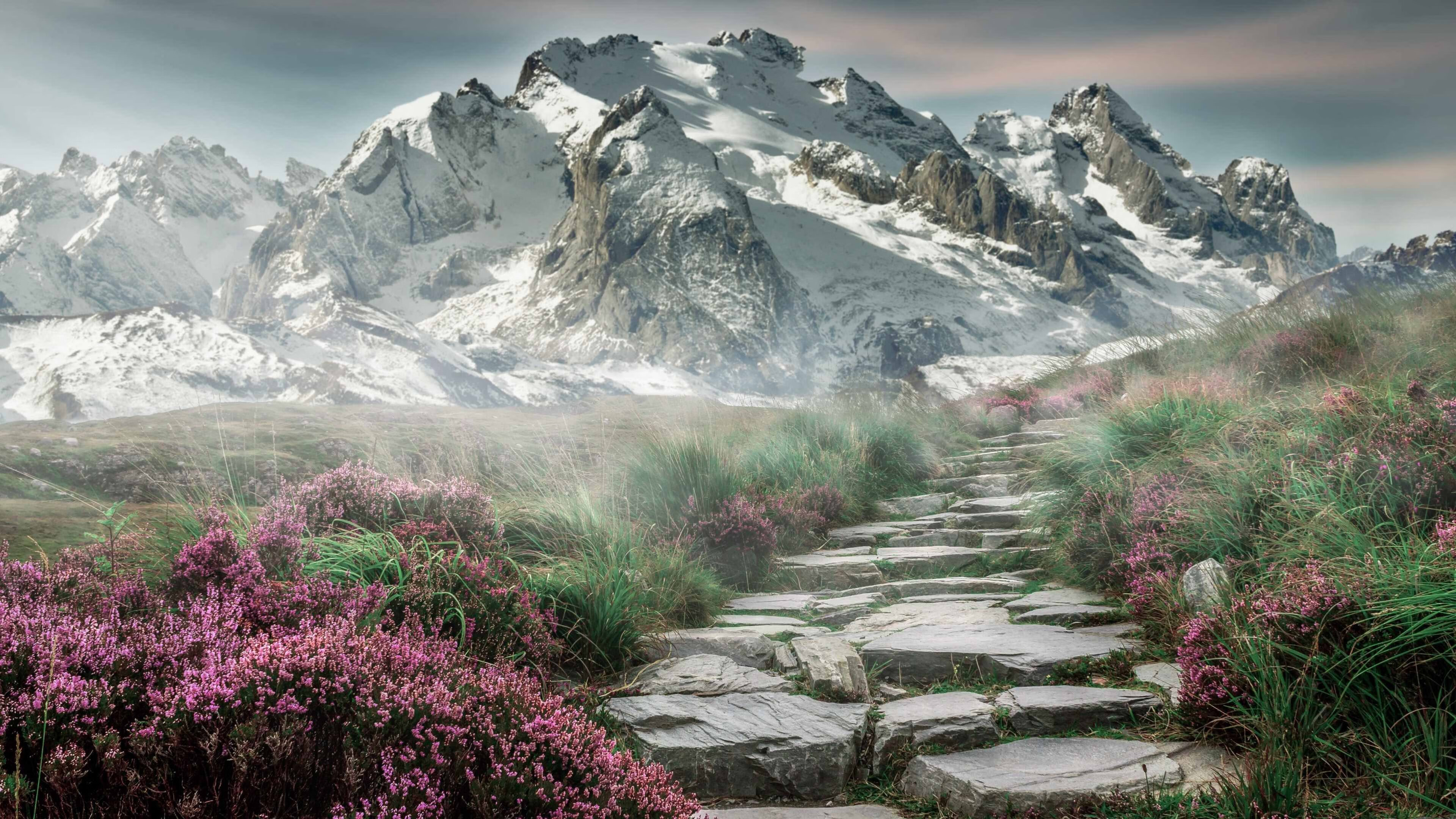 Kaiyun(中国)开云-沃尔夫斯堡实力强劲，实现大逆转，沃尔夫斯堡视频