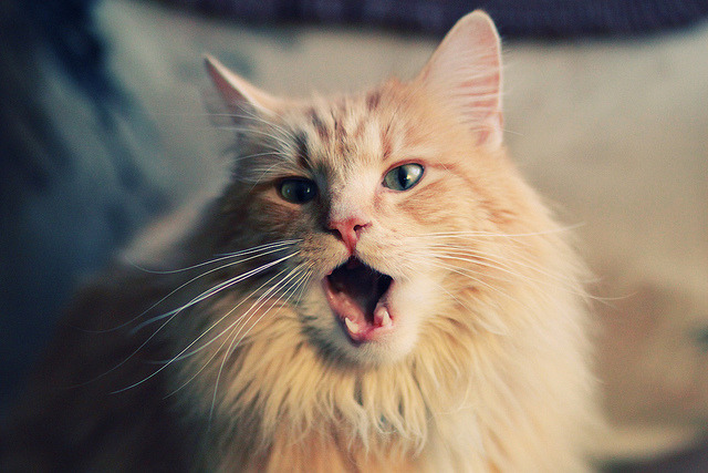 Kaiyun官方登录入口-联盟是否应支持球员设立家庭健康研究项目，联盟是否应支持球员设立家庭健康研究项目