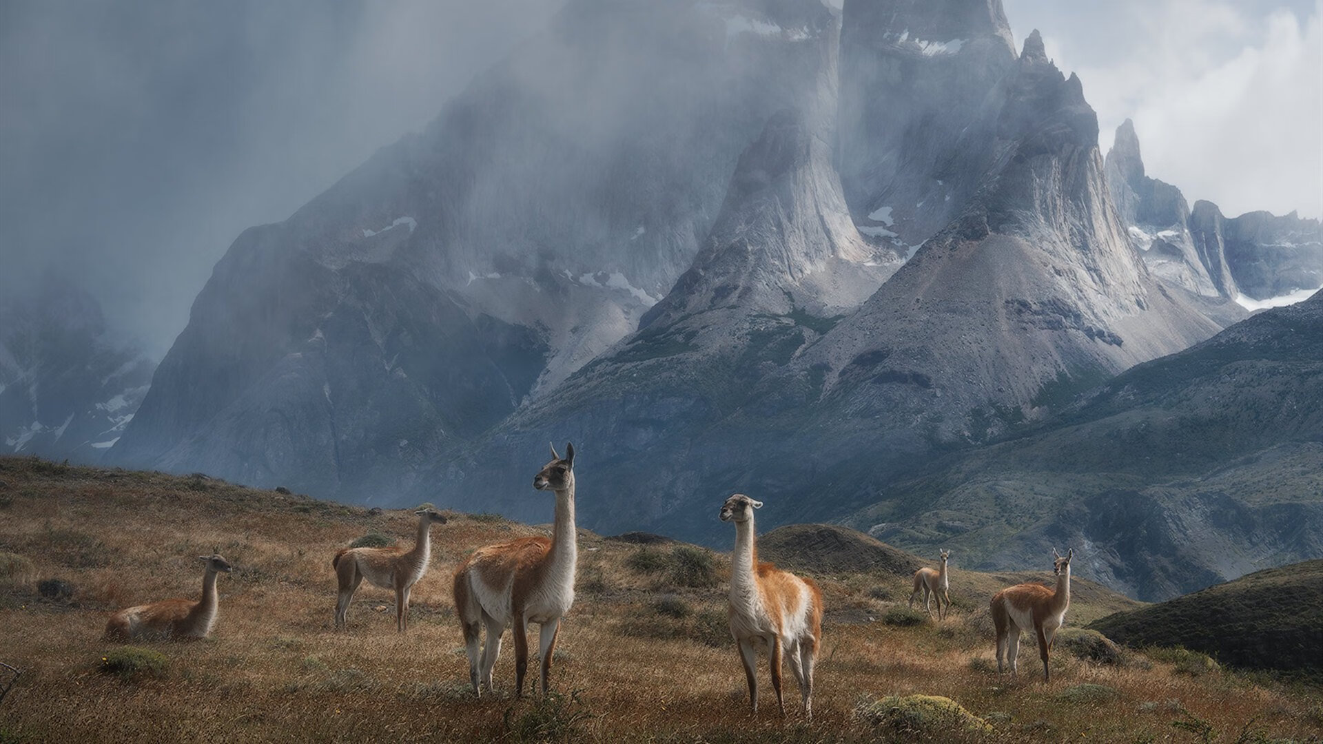 开云入口-迈阿密国际球员获选国内赛事最佳球员，迈阿密国际阵容实力如何