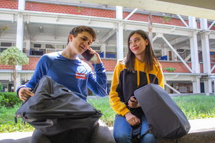 kaiyun开云·官方网站-世界青少年攀岩技能大赛在上海盛大举行，众少年展风采，2020年全国青少年攀岩锦标赛