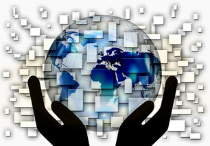 kaiyun网站-中国篮球教练员战术创新与应用案例分析，篮球教练基本战术