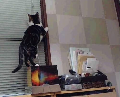 国足球员胜负贡献率数据分析,国足职业球员人数