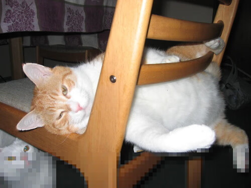 五大联赛是否普遍采用前场控球后中路传递提速战术,控球前锋