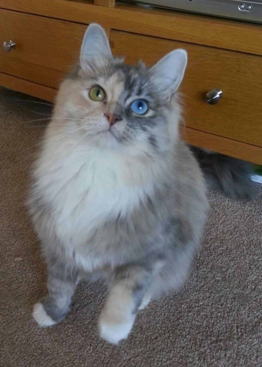 开云·体育官网-亚洲杯中国队爆冷 球迷热议不断升温，亚洲杯中国队的比赛