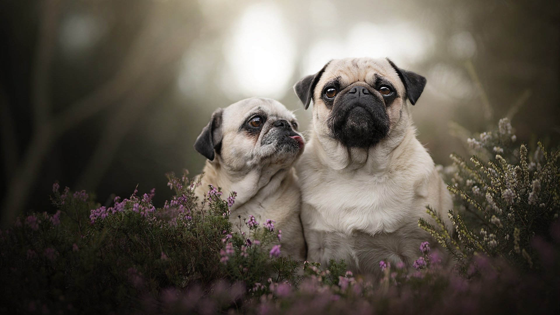 开云网站-国家队训练营设置激励机制提升球员内部竞争力，国家队训练模式