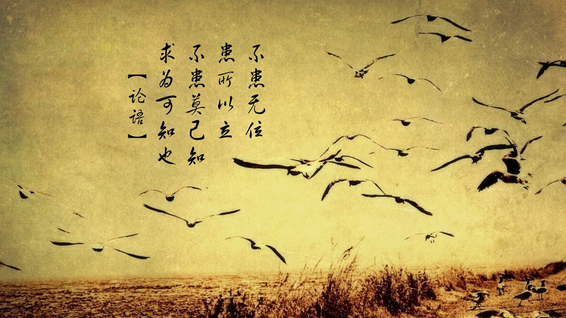 弗朗索瓦·霍尔茨豪伊泽：他的传球犹如精准利箭，为南非队锋线打开缺口