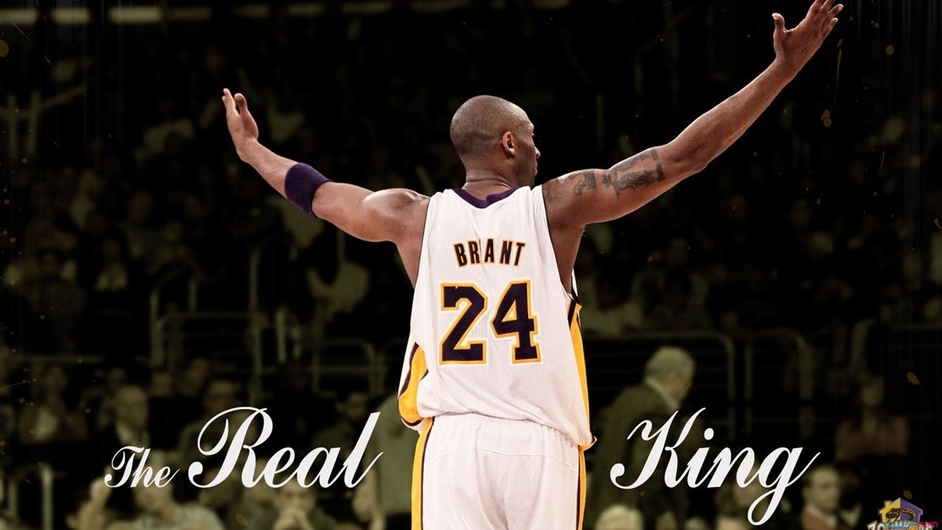 湖人公布训练营时间安排细致科学,湖人训练营名单