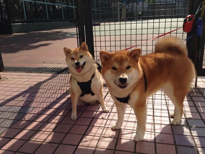 开云入口-热火主帅表示替补阵容将成为球队核心武器，热火主要球员