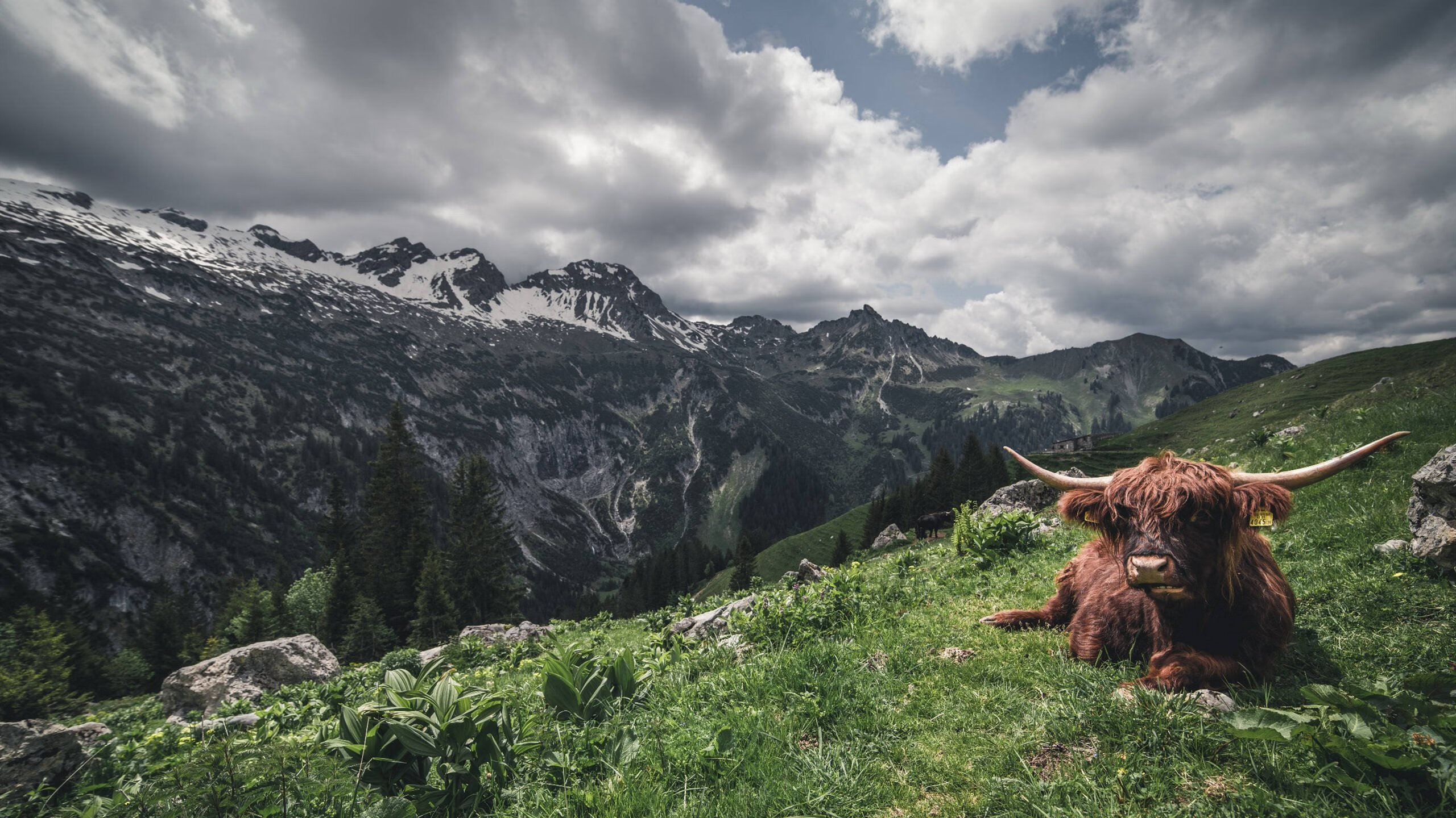 职业联赛设置球员职业生涯规划讲座支持长期发展,职业联赛定义