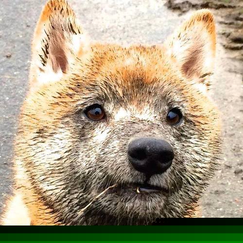 西甲攻守大戏:精彩转瞬即逝,战术巅峰!,西甲球队vll